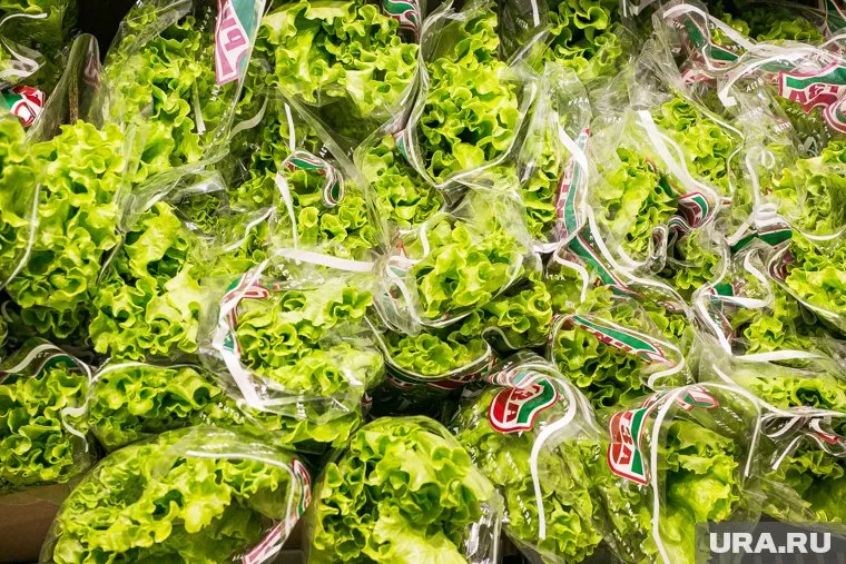 Употребление зелени способно снизить риск развития рака, отметил Михаил Гинзбург