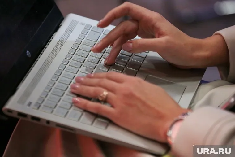 «Википедия» не способна предоставить объективную информацию, сказал Александр Хинштейн