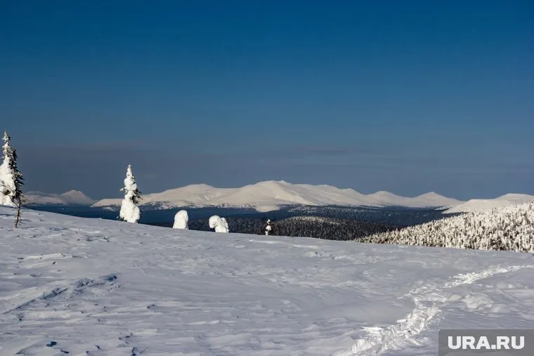 Наговицына, застрявшая в горах, жива, заявил ее сын Михаил