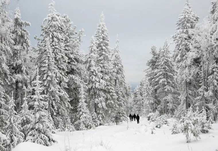 Буддистский монастырь Шедруб Линг. Качканар, зима, туристы зимой