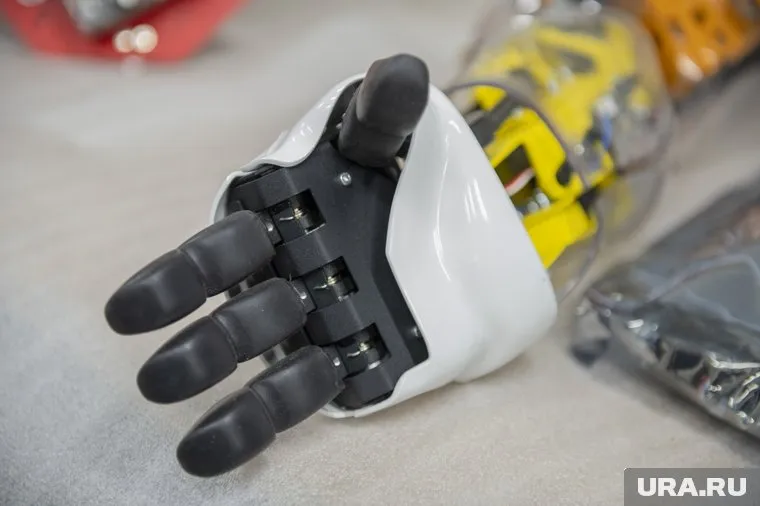 По заверению создателей, робот Робби знает все о промышленности (архивное фото)