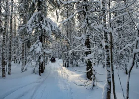 Побег под видом трагедии