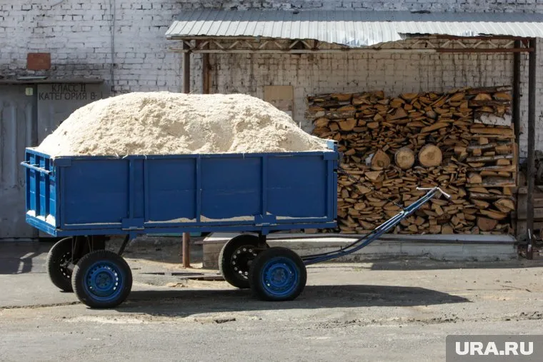 Тюменские предприниматели принимают участие в лесопромышленной выставке «Algeria WoodTech 2023»