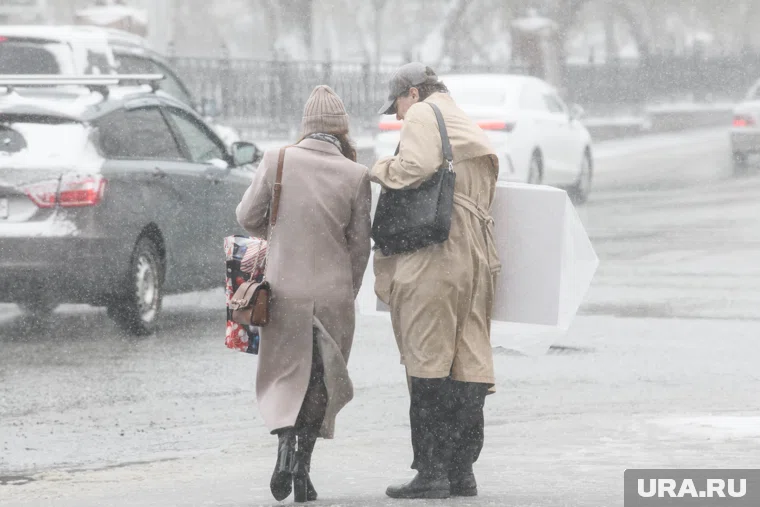 В Москве ожидается  сильный ветер и снег с дождем
