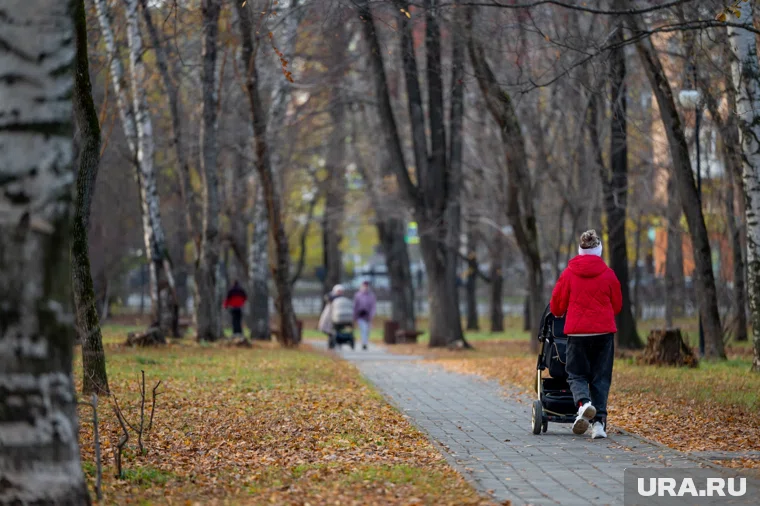 Нововведение вступит в силу с 2026 года