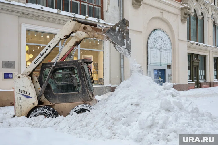 Снегопад в Москву принёс циклон «Фрэнсис»