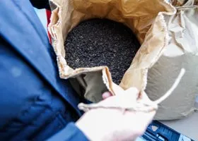 Тюменцам готовы платить почти 400 тысяч за работу упаковщиком чая