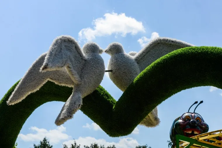 Открытие Аллеи любви в Саду Победы. Челябинск