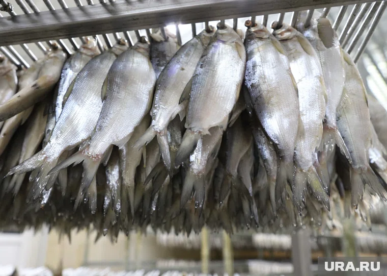 В Курганской области задержан браконьер с уловом на 450 тысяч рублей