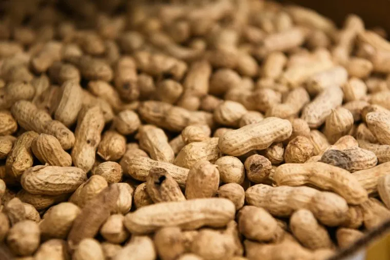 Магазин Пятерочка у ЖК Балтым парк. Верхняя Пышма