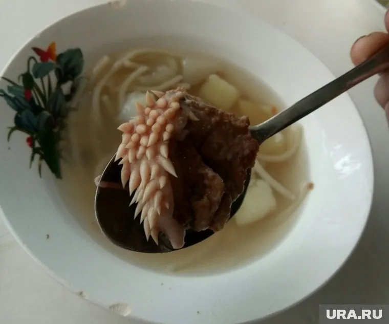 После скандала с куском мяса в продукции курганского мясокомбината нашли нарушения