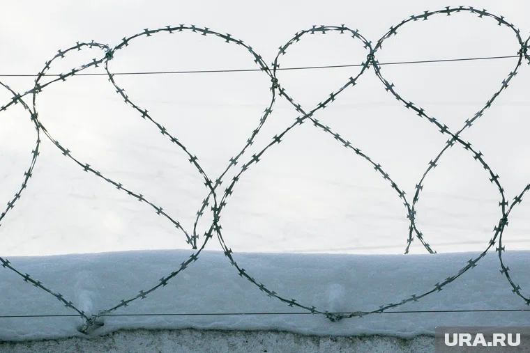 Руслан Байганов отправлен в колонию на шесть лет 