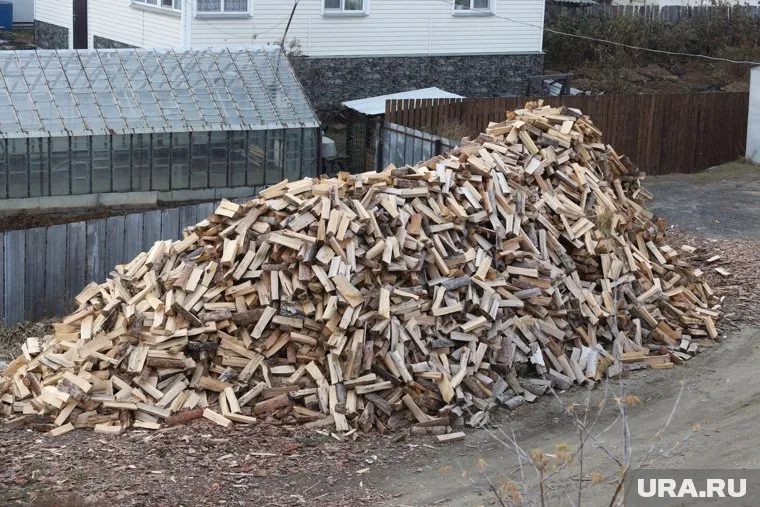 Пенсионеры и инвалиды смогут получить до трех кубических метров дров