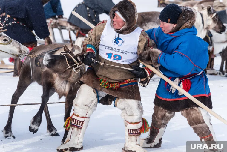 21 и 22 марта в Салехарде отпразднуют День оленевода