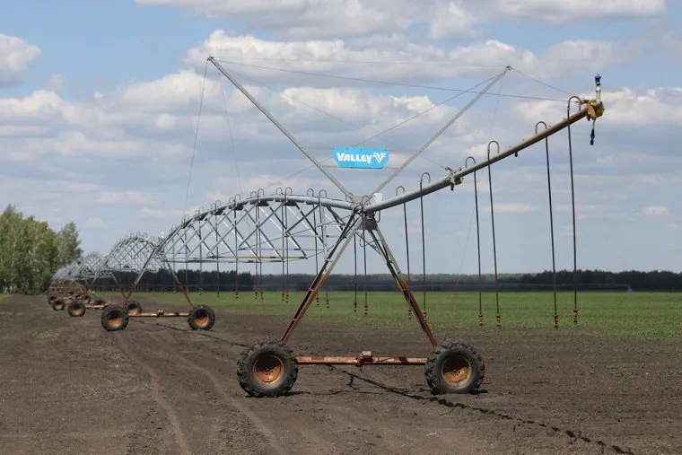 Село Митино. ЗАО "картофель". Курган