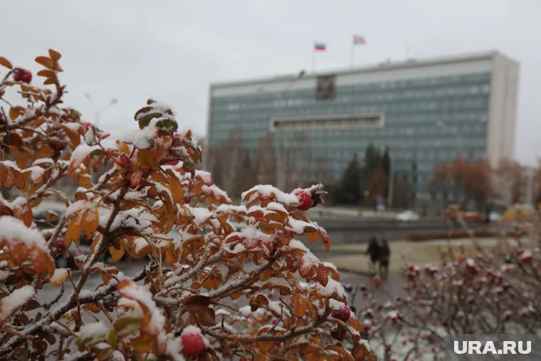 Он ожидается преимущественно в северо-восточных и восточных районах региона 