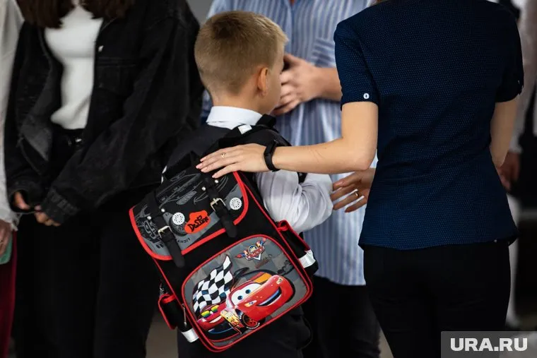 Родители школьников могут покупать только пособия для факультативных занятий, напомнили в Госдуме