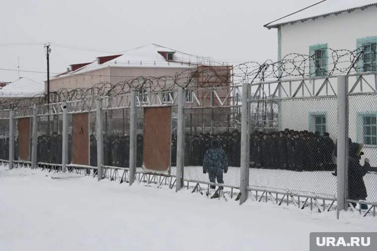 Члены группировки проведут от 7 до 9 лет в исправительных колониях