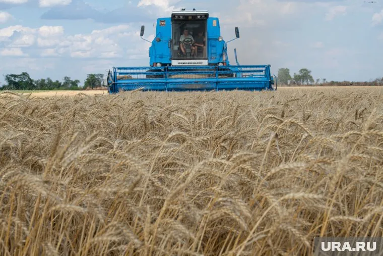 РФ была против продажи зерна за минимальную стоимость