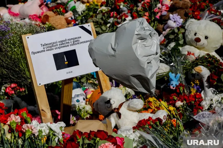 При теракте в «Крокус Сити Холле» погибло 144 человека