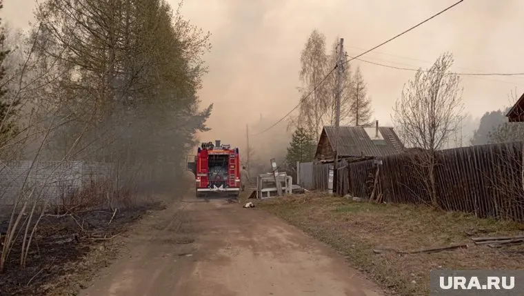 Быстрому распространению огня способствует сильный ветер, сообщили в МЧС