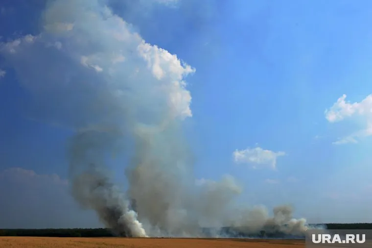 Горение сухой травы, угрожавшее дачным домам, удалось вовремя остановить