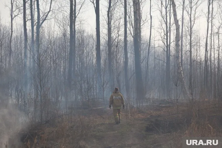 Борьба с лесными пожарами идет по всему Уралу
