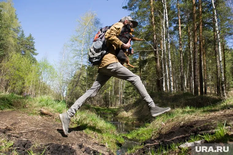В этом году «Майская прогулка» пройдет в июне