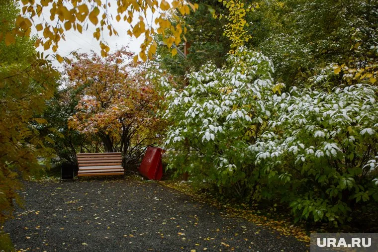 В новом сквере предусмотрены зоны для активного и спокойного отдыха