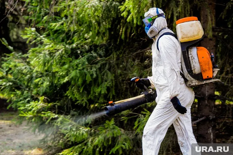 Во время обработки запрещается отдых в лесу, выпас скота и сбор растений