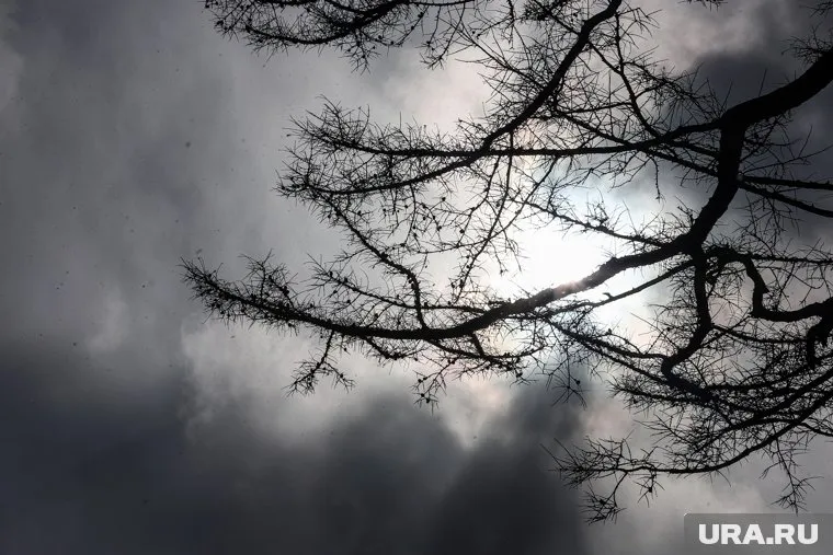 В Свердловскую область придут дожди и снег