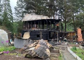 Фотография из галереи