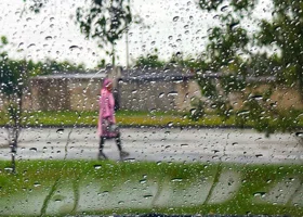 Среда принесет в Московскую область дожди 