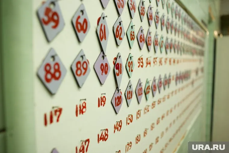 Родители: «Давайте еще туалеты сделаем платными!»