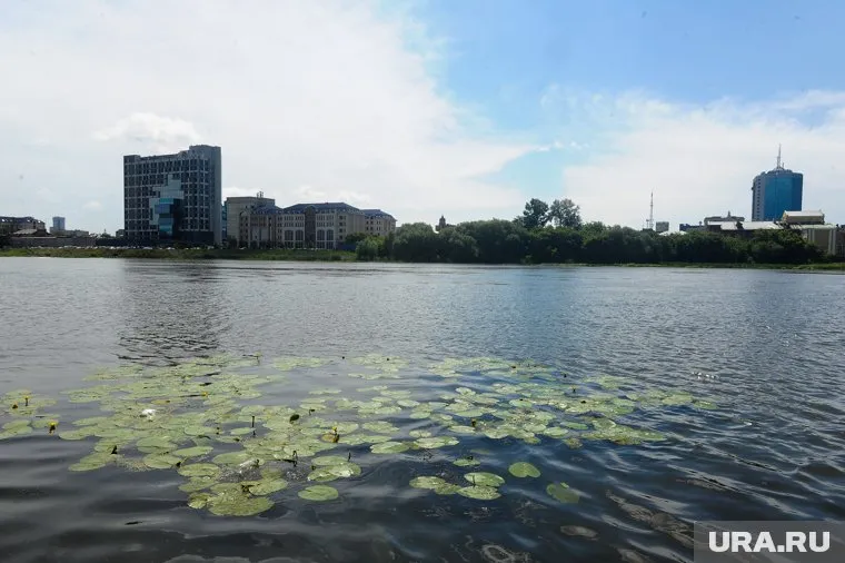 В реку Миасс в Челябинске сливали ртуть