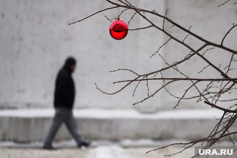 Алкоголь в новогодние праздники практически не повлияет на работу иммунной системы, но скажется на соблюдении антикоронавирусных мер