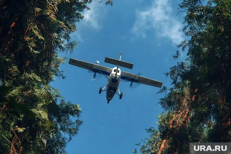 Наибольшее число беспилотников было сбито в Белгородской области