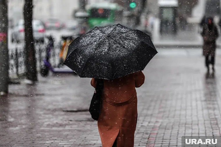 Снега в Кургане ожидается меньше нормы