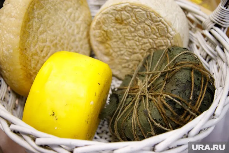 В Салехарде развивается крафтовое сыроварение