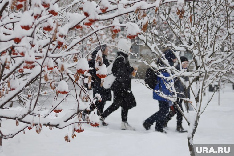 На Ямале на осенних каникулах пройдут концерты, мастер-классы и премьеры мультфильмов: афиша