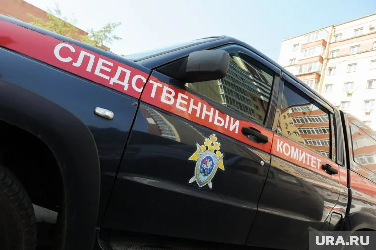 СК организовал проверку