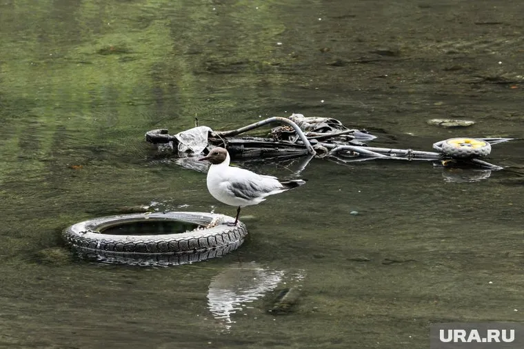 Кетовский округ очищают от мусора