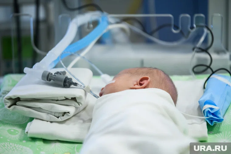 Курганский ЗАГС назвал список популярных и редких имен у малышей