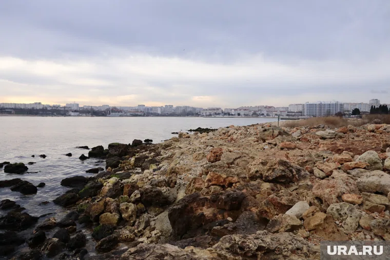 На пляжах найдены пятна мазута