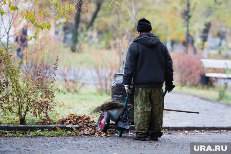 К 2030 году дворника встретить можно будет крайне редко
