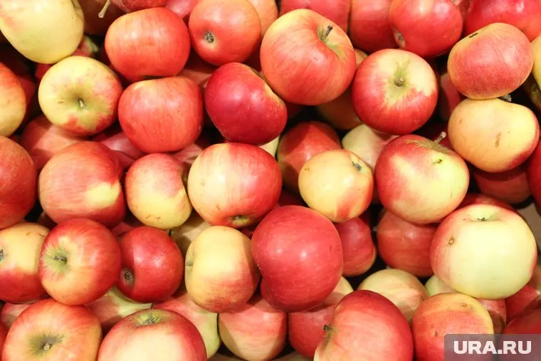 Перед употреблением фрукты достаточно помыть