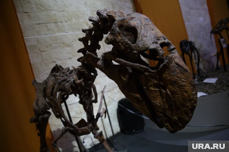 Ямальцы смогут посмотреть на доисторических ящеров до 18 января 2026 года