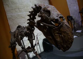 Жителям ЯНАО покажут динозавров 