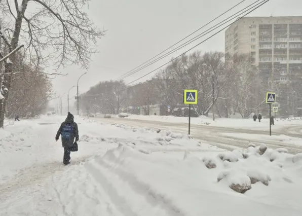Фотография из галереи