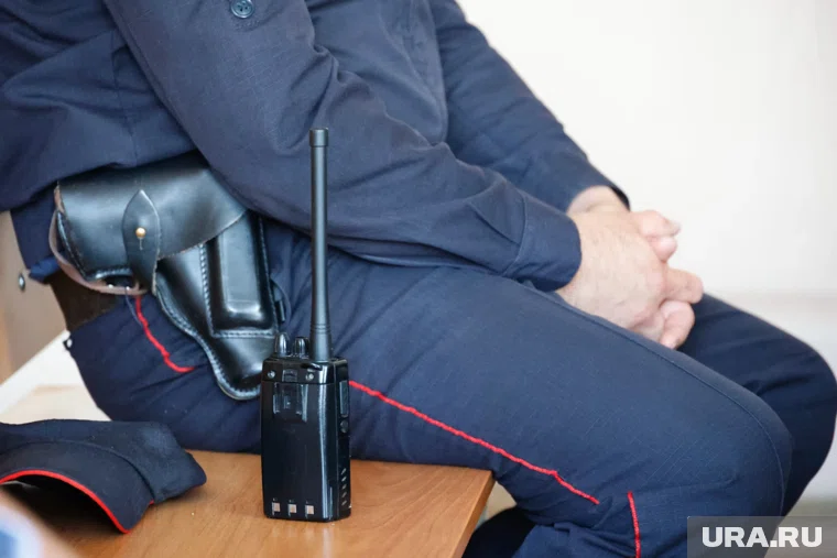 В Кургане женщина вызвала полицейских, а затем начала их оскорблять